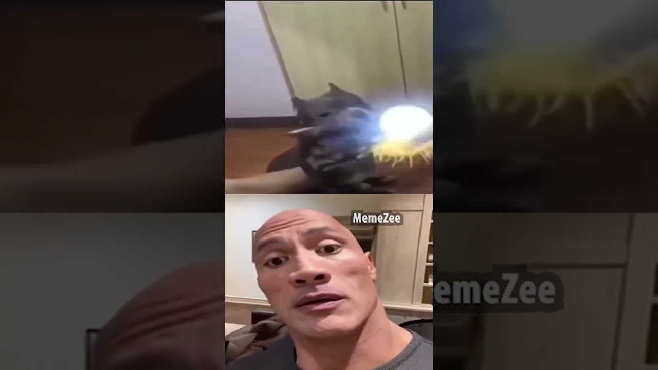 Zee Language Meme Zee's Best & Most Popular YouTube Videos (Oct 2026)