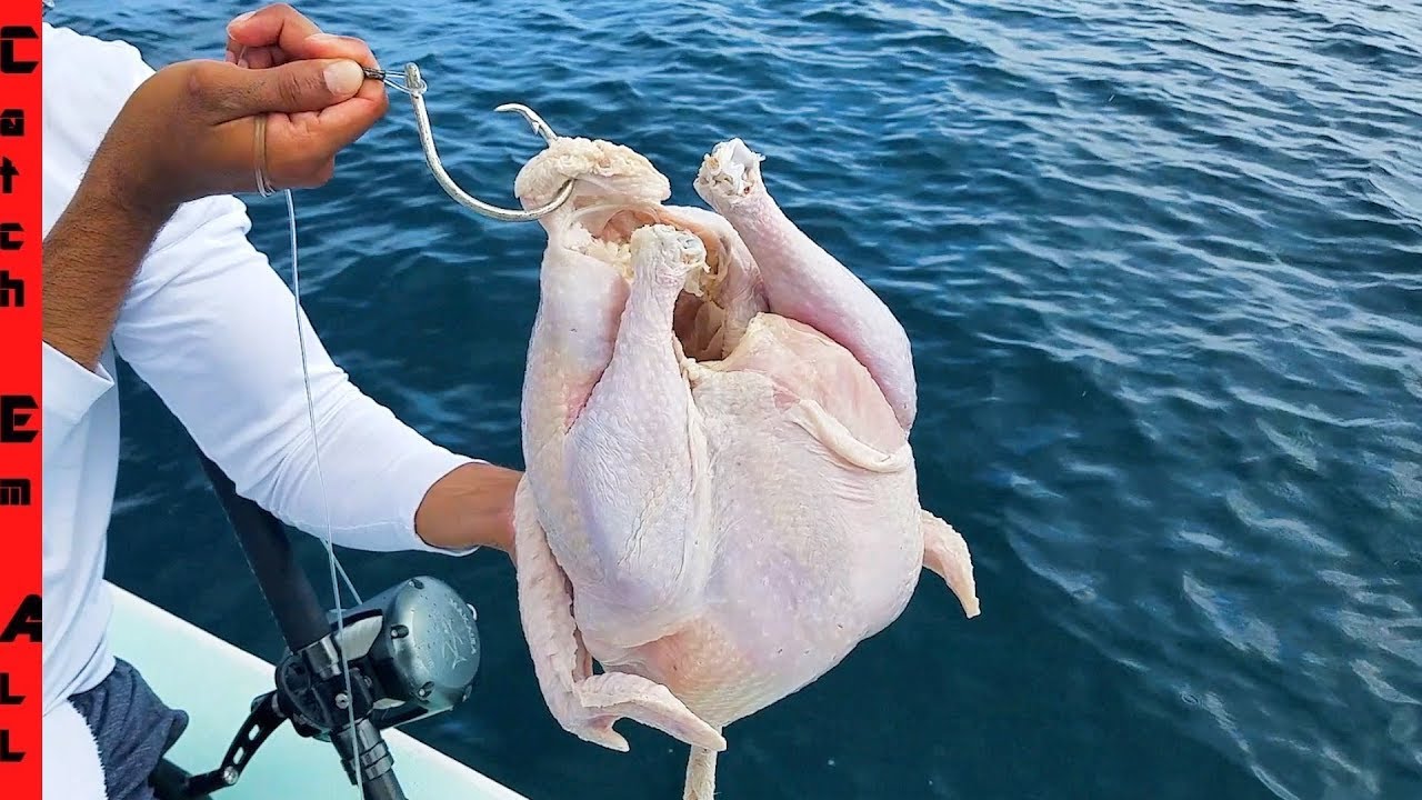 CATCH EM ALL FISHING's Best & Most Popular YouTube Videos (Oct 2026)