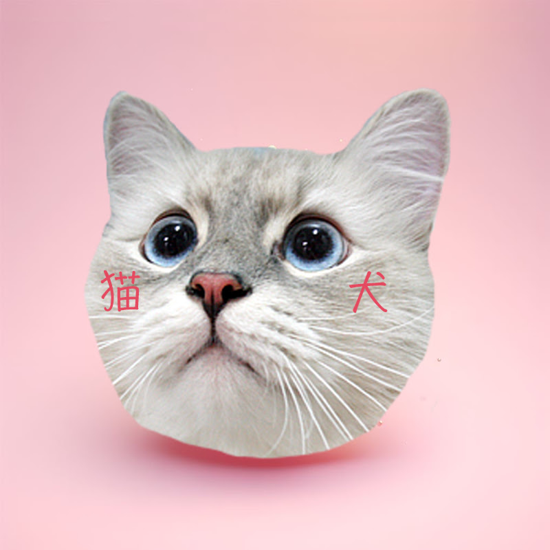 NekoKen TV | cute snacks and surprise toysのYouTube登録者数25.5万＆再生回数2.4億 ...