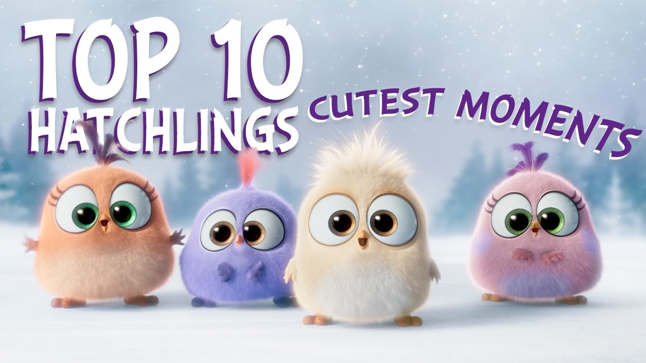 Angry Birds's Best & Most Popular YouTube Videos (Oct 2026)