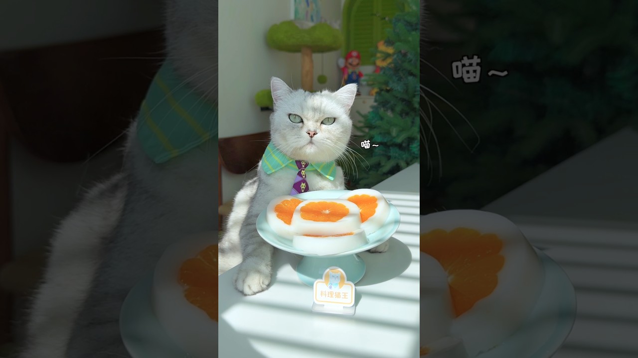 Mooncake Chef Chef Cat ChangAn 's New YouTube Videos | Latest Uploads (Oct 2026)
