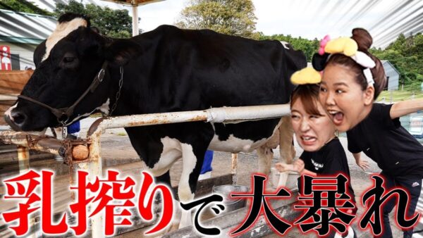 平成フラミンゴ、マザー牧場で乳搾り体験！子供心忘れない、はしゃぎっぷりに「大好き」「素敵」の声！