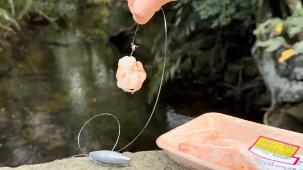 おろちんゆー、沖縄・石垣島で、あの”高級珍味”をGET！とれた食材フル使用の超豪勢な鍋も堪能で、視聴者から嫉妬の嵐