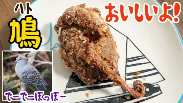 野食ハンター・茸本朗、ワイルドすぎる”ハトの半身揚げ”にかぶりつき！肉厚なハトに舌鼓で、視聴者も「おいしそう」