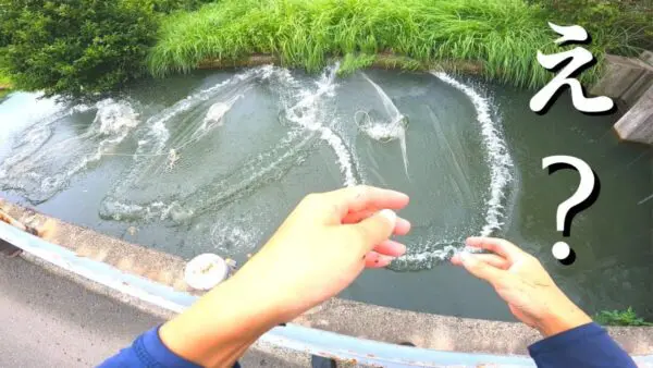 生物系YouTuber・マーシー、30年間見つからなかった”幻の魚”を発見⁉論文掲載の快挙に、視聴者から絶賛の嵐