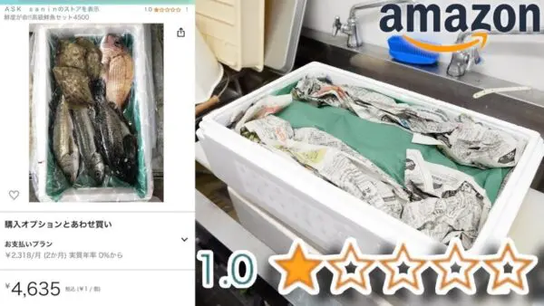 きまぐれクック、視聴者待望の海鮮BOXシリーズを投稿！星1最低評価の海鮮BOXの中身は如何に！？あの高級食材が大量！？