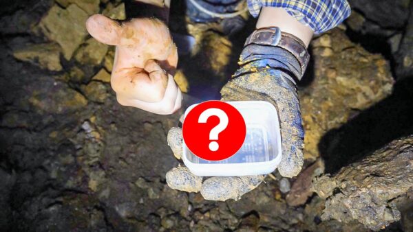 うごめ紀、ニュージーランドで珍しすぎる”ゴミムシ”発見の快挙！海外遠征＆全身泥だらけの苦労に、「心うごめく」と反響