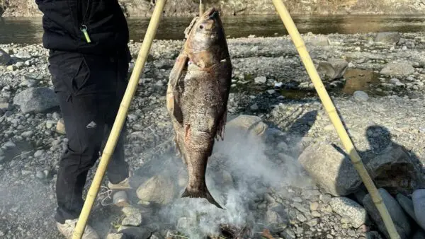 生き物系YouTuber『ホモサピ』、ドブ排水で育った巨大魚・ハクレンを燻製にして食べる！「臭くない」「バクバク食えるような味ではないが大成功」