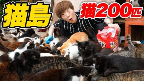 セイキン旅企画！船に乗り猫200匹が暮らす田代島へ… 餌やり体験で大量の猫が集い、カオスな状況に「動けない」　猫の暮らしを支える”島のえき”にプレゼントも